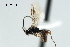  ( - CBRA0189)  @12 [ ] CreativeCommons - Attribution (2009) Unspecified Centre for Biodiversity Genomics
