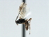  ( - CBRA0190)  @13 [ ] CreativeCommons - Attribution (2009) Unspecified Centre for Biodiversity Genomics