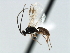  ( - CBRA0191)  @13 [ ] CreativeCommons - Attribution (2009) Unspecified Centre for Biodiversity Genomics