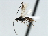 ( - CBRA0192)  @13 [ ] CreativeCommons - Attribution (2009) Unspecified Centre for Biodiversity Genomics