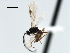  ( - CBRA0194)  @12 [ ] CreativeCommons - Attribution (2009) Unspecified Centre for Biodiversity Genomics