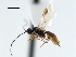  ( - CBRA0195)  @14 [ ] CreativeCommons - Attribution (2009) Unspecified Centre for Biodiversity Genomics