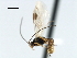  ( - CBRA0197)  @13 [ ] CreativeCommons - Attribution (2009) Unspecified Centre for Biodiversity Genomics