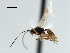  ( - CBRA0198)  @12 [ ] CreativeCommons - Attribution (2009) Unspecified Centre for Biodiversity Genomics