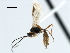  ( - CBRA0199)  @12 [ ] CreativeCommons - Attribution (2009) Unspecified Centre for Biodiversity Genomics