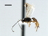  ( - CBRA0200)  @12 [ ] CreativeCommons - Attribution (2009) Unspecified Centre for Biodiversity Genomics