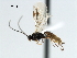  ( - CBRA0201)  @12 [ ] CreativeCommons - Attribution (2009) Unspecified Centre for Biodiversity Genomics