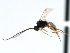  ( - CBRA0212)  @12 [ ] CreativeCommons - Attribution (2009) Unspecified Centre for Biodiversity Genomics