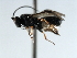  ( - CBRA0036)  @12 [ ] CreativeCommons - Attribution (2009) Unspecified Centre for Biodiversity Genomics