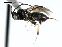  ( - CBRA0038)  @12 [ ] CreativeCommons - Attribution (2009) Unspecified Centre for Biodiversity Genomics