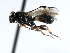  ( - CBRA0039)  @12 [ ] CreativeCommons - Attribution (2009) Unspecified Centre for Biodiversity Genomics