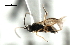  ( - CNCH1618)  @13 [ ] CreativeCommons - Attribution (2009) Unspecified Centre for Biodiversity Genomics