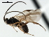 ( - CNCH1634)  @12 [ ] CreativeCommons - Attribution (2009) Unspecified Centre for Biodiversity Genomics