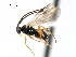  ( - CNCH1719)  @13 [ ] CreativeCommons - Attribution (2009) Unspecified Centre for Biodiversity Genomics