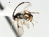  ( - CNCH1722)  @12 [ ] CreativeCommons - Attribution (2009) Unspecified Centre for Biodiversity Genomics