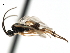  ( - CNCH1729)  @13 [ ] CreativeCommons - Attribution (2009) Unspecified Centre for Biodiversity Genomics