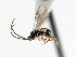  ( - CNCH1737)  @13 [ ] CreativeCommons - Attribution (2009) Unspecified Centre for Biodiversity Genomics