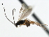  ( - CNCH1738)  @13 [ ] CreativeCommons - Attribution (2009) Unspecified Centre for Biodiversity Genomics