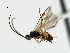  ( - CNCH1739)  @13 [ ] CreativeCommons - Attribution (2009) Unspecified Centre for Biodiversity Genomics