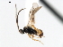  ( - CNCH1753)  @13 [ ] CreativeCommons - Attribution (2009) Unspecified Centre for Biodiversity Genomics