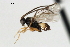  ( - CNCH1754)  @12 [ ] CreativeCommons - Attribution (2009) Unspecified Centre for Biodiversity Genomics