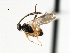  ( - CNCH1755)  @12 [ ] CreativeCommons - Attribution (2009) Unspecified Centre for Biodiversity Genomics