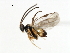  ( - CNCH1756)  @12 [ ] CreativeCommons - Attribution (2009) Unspecified Centre for Biodiversity Genomics