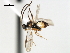  ( - CNCH1757)  @13 [ ] CreativeCommons - Attribution (2009) Unspecified Centre for Biodiversity Genomics