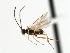  ( - CNCH1760)  @13 [ ] CreativeCommons - Attribution (2009) Unspecified Centre for Biodiversity Genomics