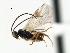  ( - CNCH1790)  @12 [ ] CreativeCommons - Attribution (2009) Unspecified Centre for Biodiversity Genomics