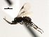  ( - CNCH1861)  @12 [ ] CreativeCommons - Attribution (2009) Unspecified Centre for Biodiversity Genomics