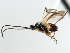  ( - CNCH1875)  @13 [ ] CreativeCommons - Attribution (2009) Unspecified Centre for Biodiversity Genomics
