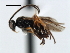  ( - CNCH1889)  @13 [ ] CreativeCommons - Attribution (2009) Unspecified Centre for Biodiversity Genomics