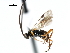  ( - CNCH1891)  @13 [ ] CreativeCommons - Attribution (2009) Unspecified Centre for Biodiversity Genomics