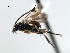  ( - CNCH1903)  @12 [ ] CreativeCommons - Attribution (2009) Unspecified Centre for Biodiversity Genomics