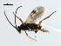  ( - CNCH1907)  @13 [ ] CreativeCommons - Attribution (2009) Unspecified Centre for Biodiversity Genomics