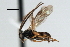  ( - CNCH1913)  @14 [ ] CreativeCommons - Attribution (2009) Unspecified Centre for Biodiversity Genomics