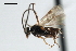  ( - CNCH1915)  @13 [ ] CreativeCommons - Attribution (2009) Unspecified Centre for Biodiversity Genomics