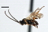  ( - CNCH1920)  @13 [ ] CreativeCommons - Attribution (2009) Unspecified Centre for Biodiversity Genomics