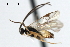  ( - CNCH1926)  @12 [ ] CreativeCommons - Attribution (2009) Unspecified Centre for Biodiversity Genomics