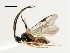  ( - CNCH1972)  @12 [ ] CreativeCommons - Attribution (2009) Unspecified Centre for Biodiversity Genomics