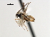  ( - CNCH1975)  @12 [ ] CreativeCommons - Attribution (2009) Unspecified Centre for Biodiversity Genomics