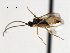  ( - CNCH1980)  @12 [ ] CreativeCommons - Attribution (2009) Unspecified Centre for Biodiversity Genomics