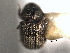  ( - CNC COLEO 00104826)  @11 [ ] CreativeCommons - Attribution (2012) CNC/CBG Photography Group Centre for Biodiversity Genomics