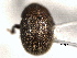  ( - CNC COLEO 00104830)  @11 [ ] CreativeCommons - Attribution (2012) CNC/CBG Photography Group Centre for Biodiversity Genomics