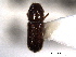  ( - CNC COLEO 00138491)  @11 [ ] CreativeCommons - Attribution (2012) CNC/CBG Photography Group Centre for Biodiversity Genomics
