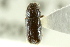  ( - CNC COLEO 00138665)  @12 [ ] CreativeCommons - Attribution (2012) CNC/CBG Photography Group Centre for Biodiversity Genomics