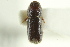  ( - CNC COLEO 00138693)  @11 [ ] CreativeCommons - Attribution (2012) CNC/CBG Photography Group Centre for Biodiversity Genomics