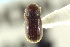  ( - CNC COLEO 00138823)  @11 [ ] CreativeCommons - Attribution (2012) CNC/CBG Photography Group Centre for Biodiversity Genomics