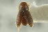 ( - CNC COLEO 00138829)  @11 [ ] CreativeCommons - Attribution (2012) CNC/CBG Photography Group Centre for Biodiversity Genomics